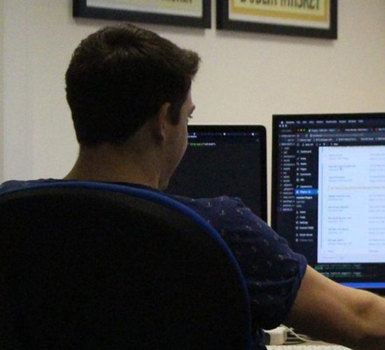 seo specialist working